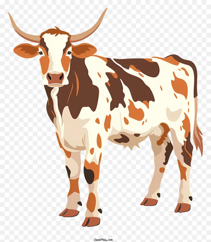 Hereford Vaca，Vaca PNG