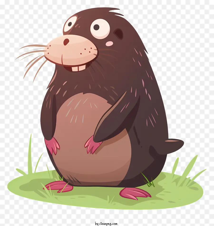 Topo，Lindo Beaver PNG