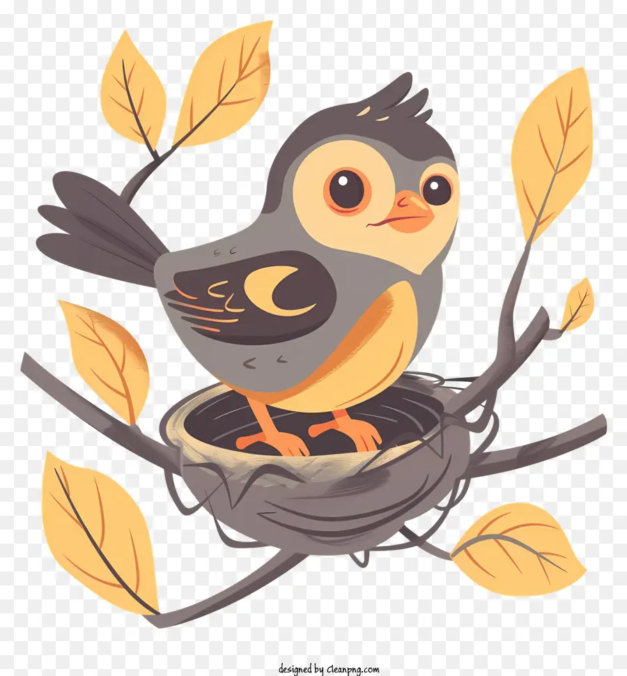 Baby Bird Que Sale Del Nido，Aves PNG