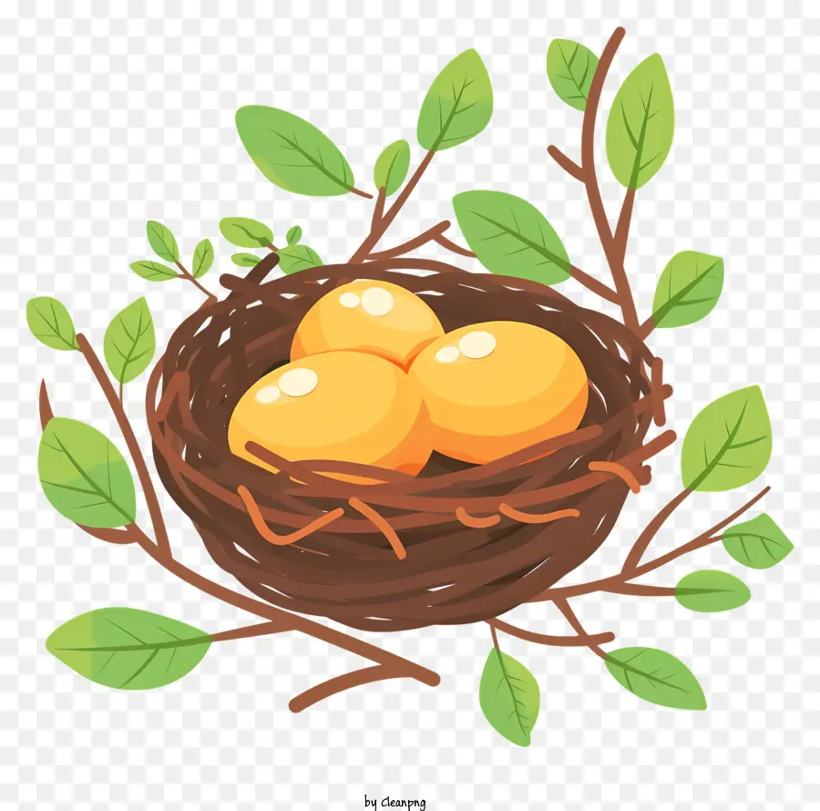 Nido De Pájaro，Eggs PNG