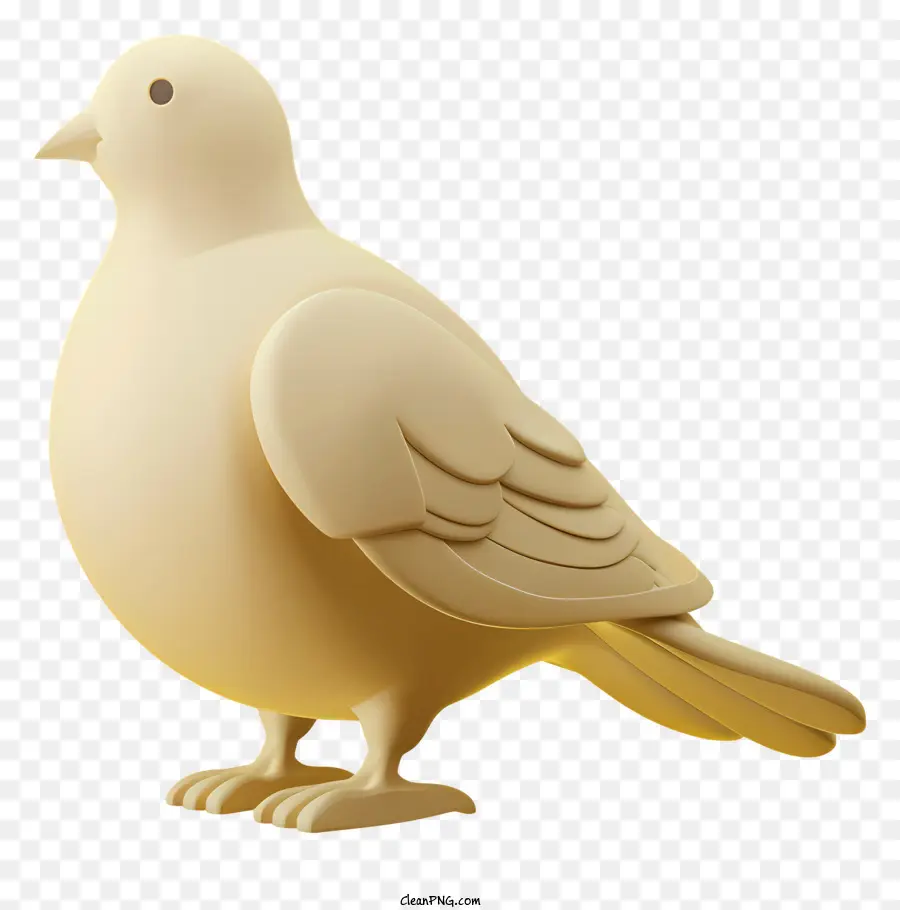 Paloma，Aves PNG