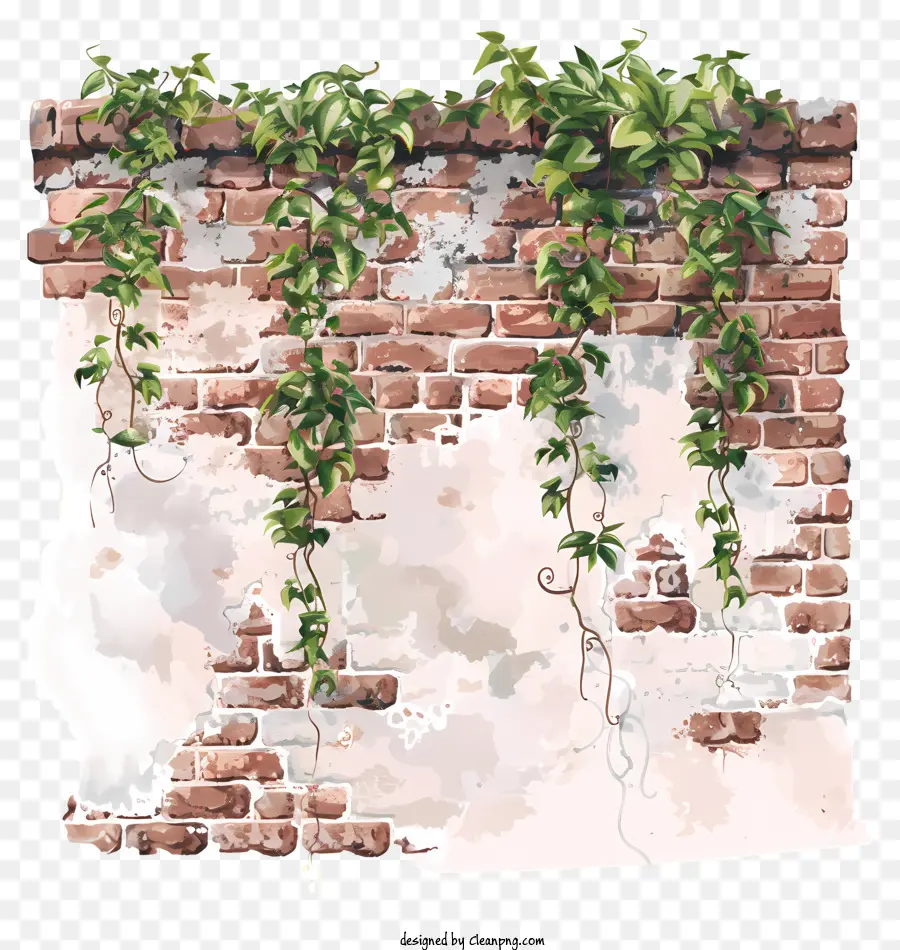 Pared De Ladrillo，Enredaderas En Flor PNG