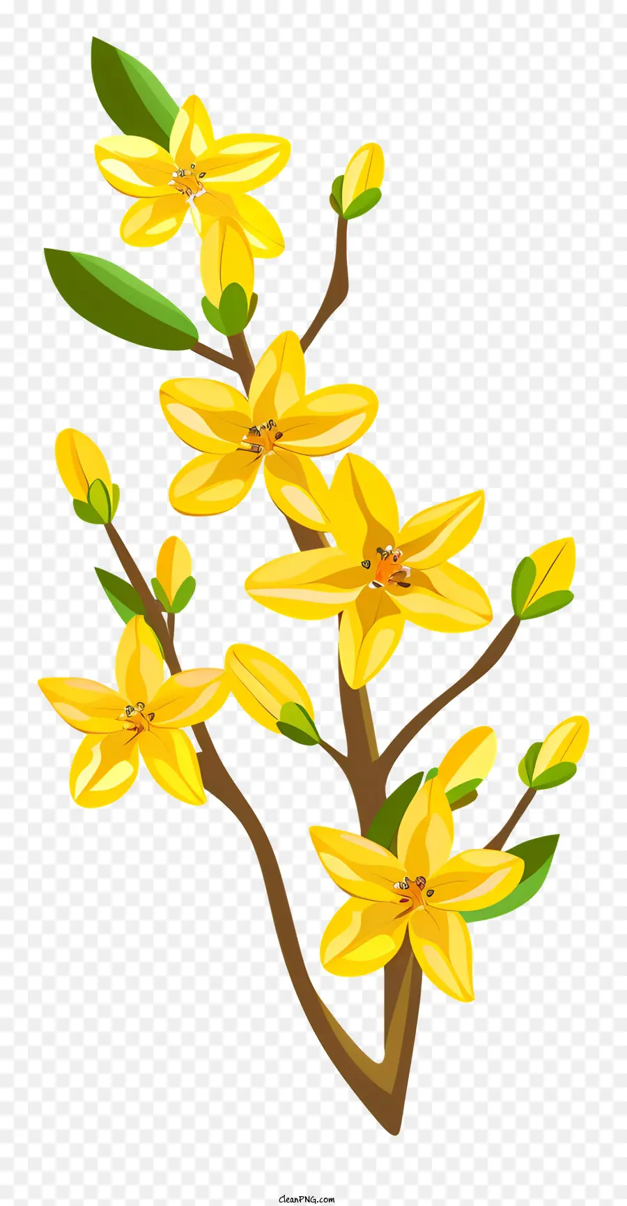 Flor De Forsythia，Flor De Primavera PNG