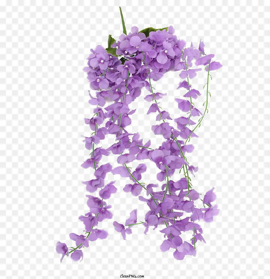 Flores，Flores Moradas PNG