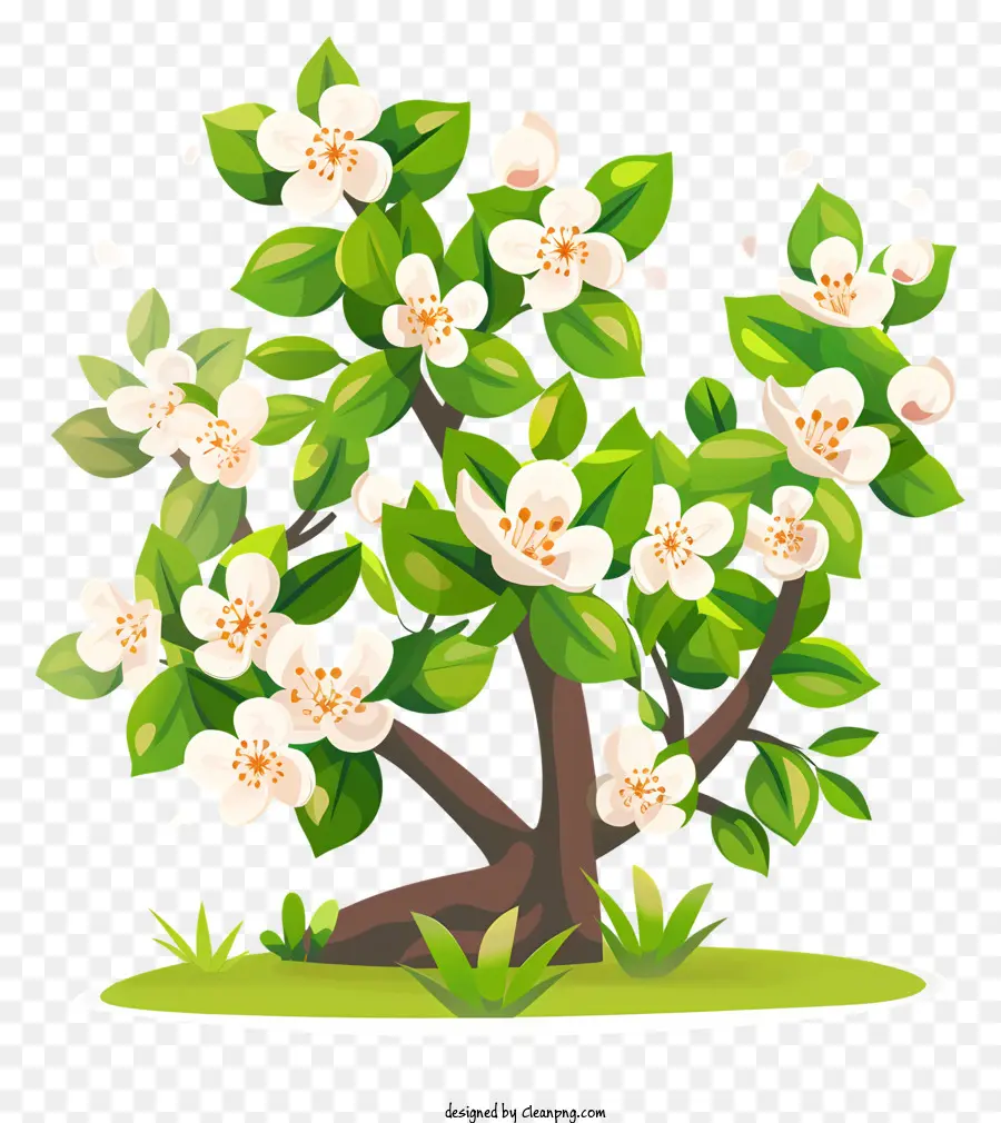 La Primavera，Árbol PNG