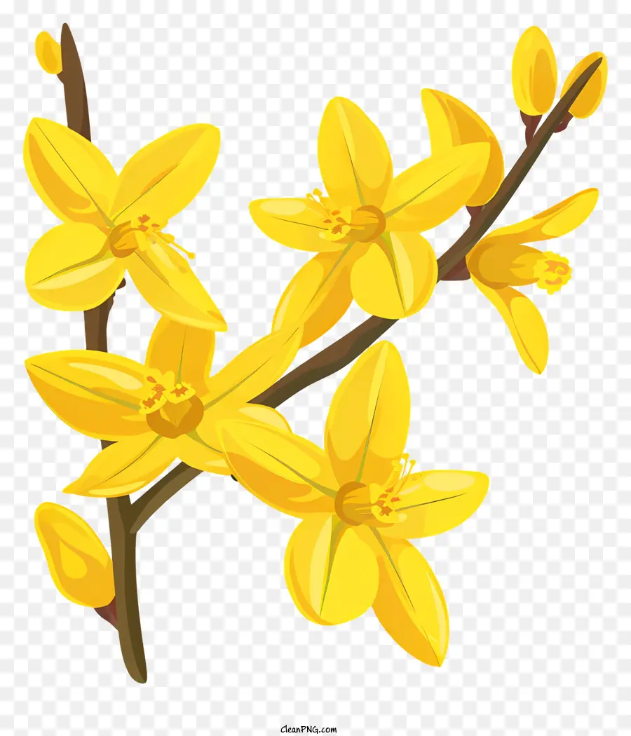 Flor De Forsythia，Flor De Primavera PNG