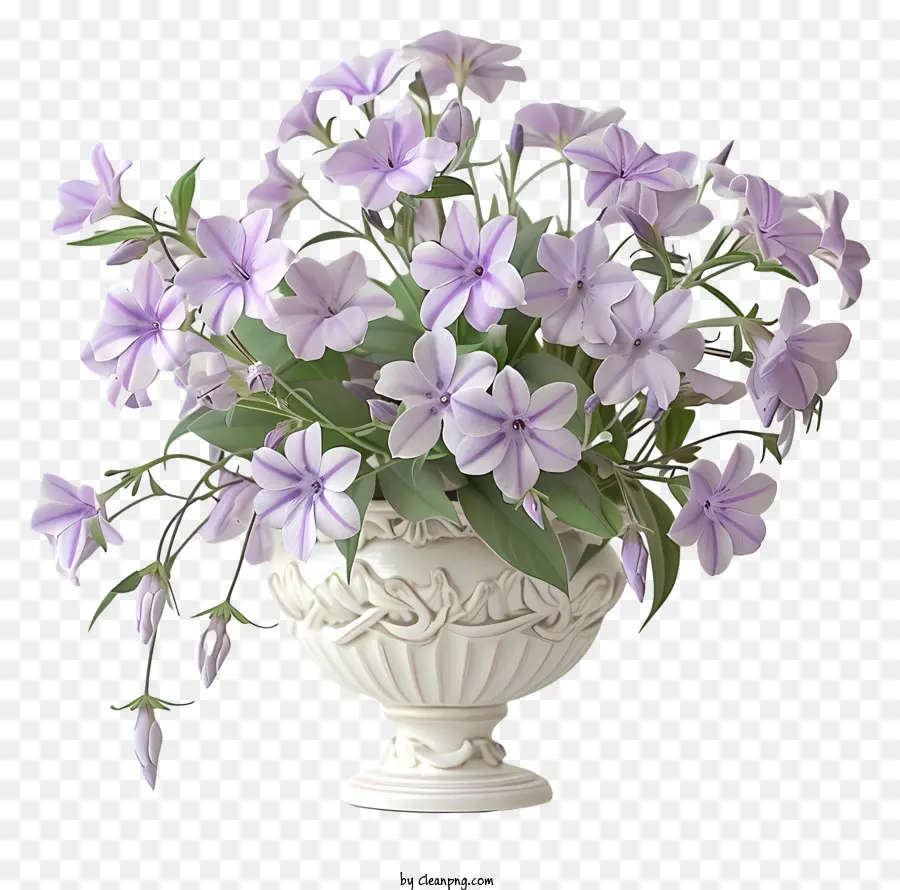 Phlox Arrastrante，Flor De Primavera PNG