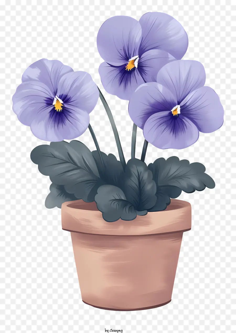 Pansy Flor，Flor De Primavera PNG