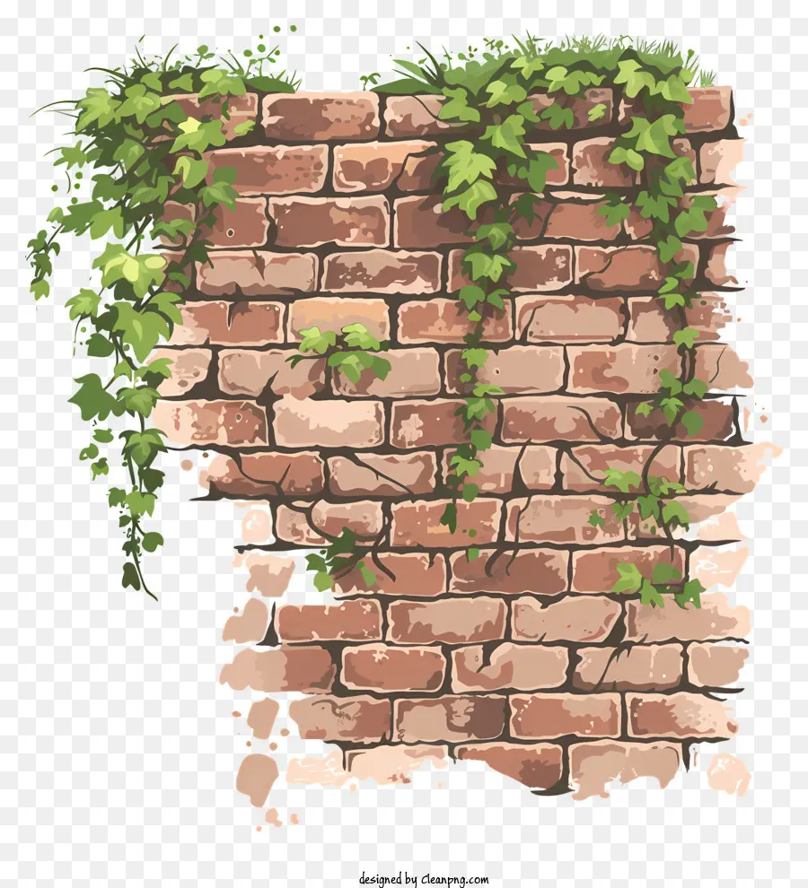 La Pared De Ladrillo，Vines PNG