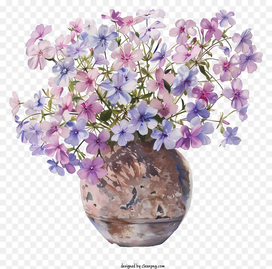 Phlox Arrastrante，Flor De Primavera PNG