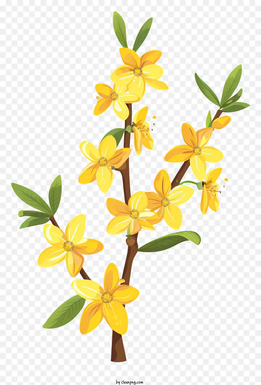 Flor De Forsythia，Flor De Primavera PNG