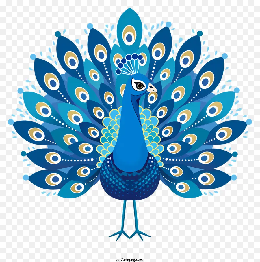 Azul De Pavo Real，Pavo Real PNG