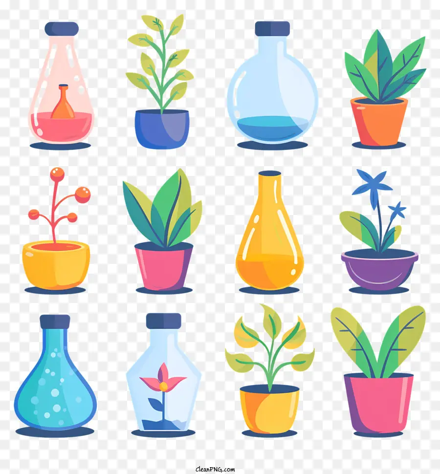 Frascos Con Plantas，Las Plantas PNG