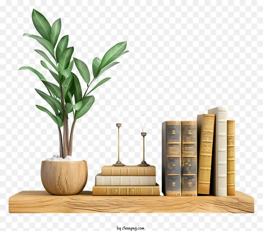 Estante Con Libros，Libros Y Planta PNG