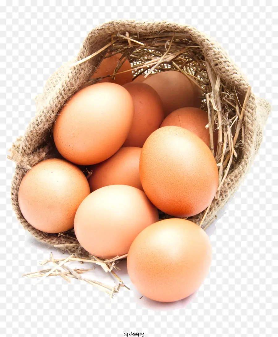 Huevo，Los Huevos Morenos PNG