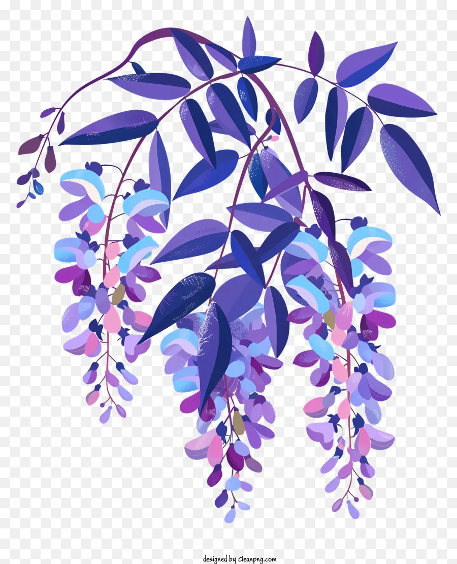 Wisteria，Flores PNG