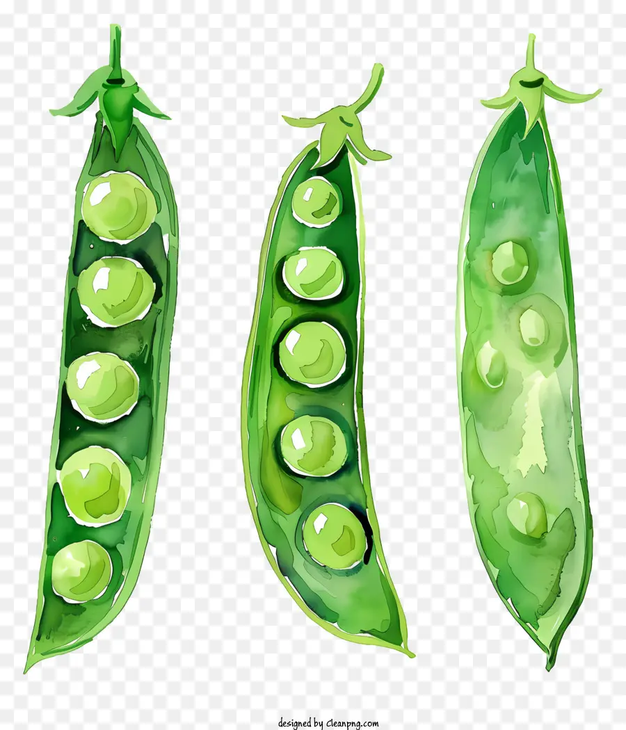 Peas，Vainas PNG