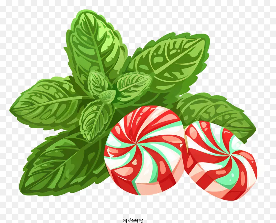 Menta，Bastón De Caramelo PNG