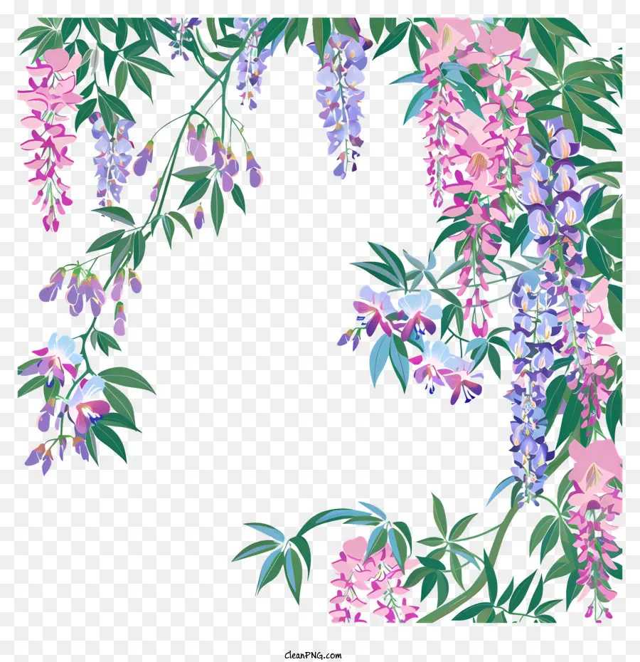 Wisteria Frontera，Flores De Glicinia PNG