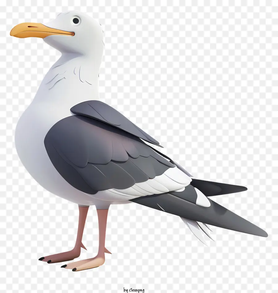 Gaviota，Modelo En 3d PNG