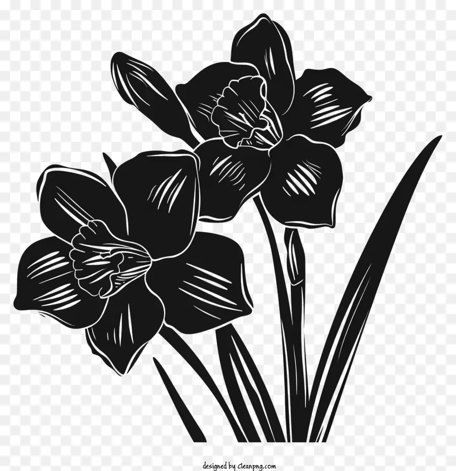 La Silueta De La Flor，Flor Negro PNG