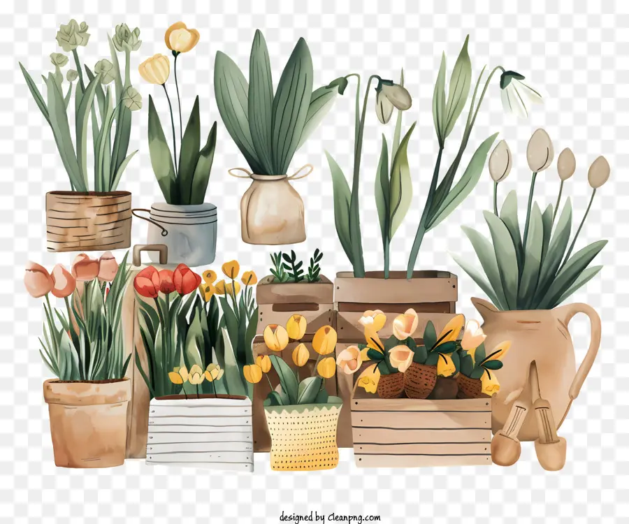 Mercado De Primavera，Las Plantas En Maceta PNG