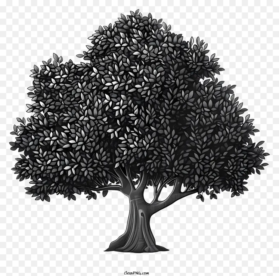 Silueta De árbol，Árbol PNG