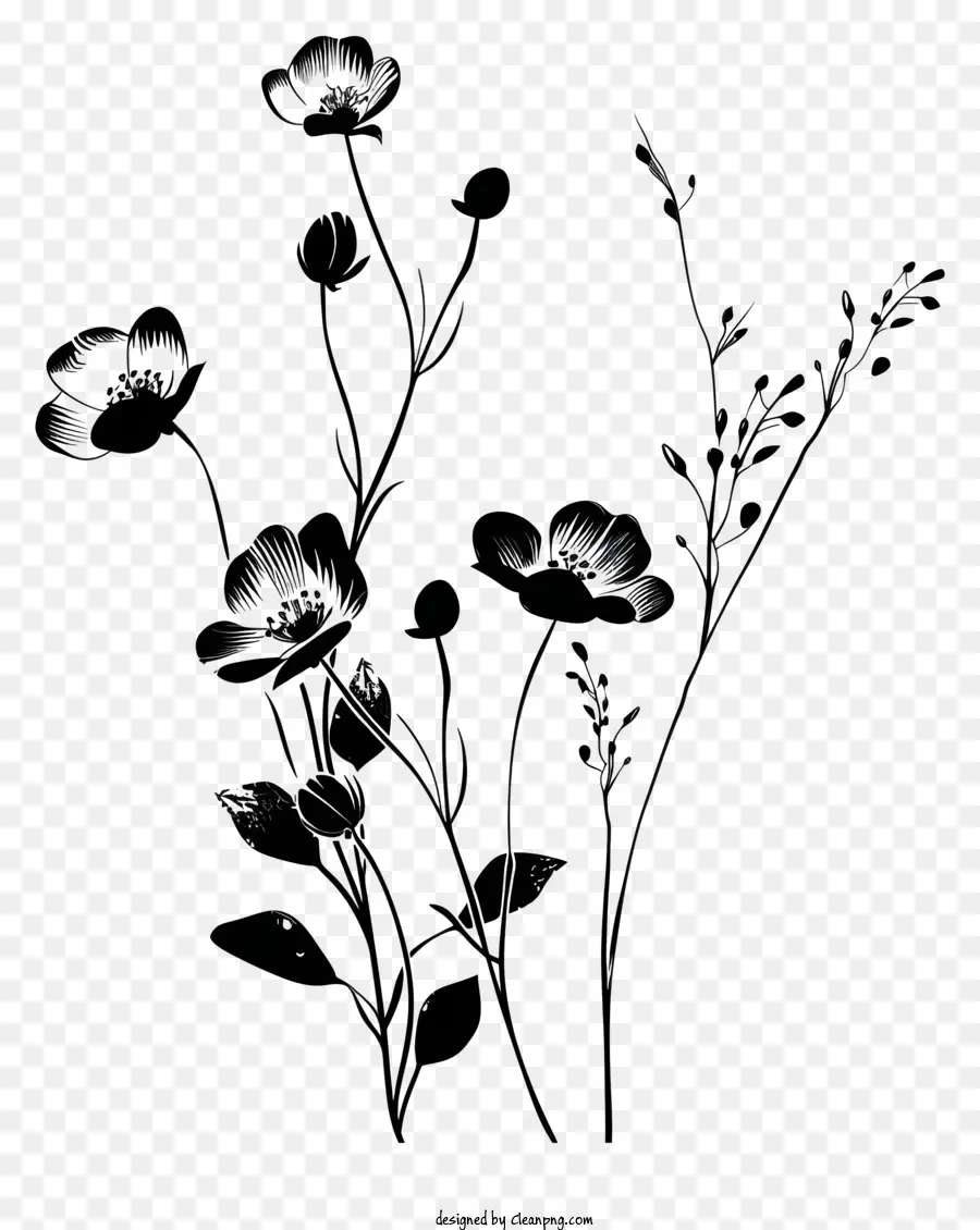 La Silueta De La Flor，En Blanco Y Negro De Flores PNG