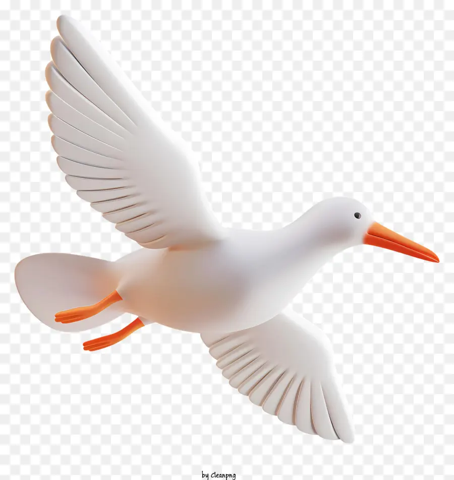 Gaviota，Aves PNG