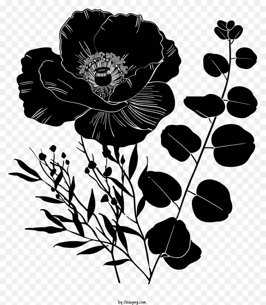 La Silueta De La Flor，Flor Negro PNG