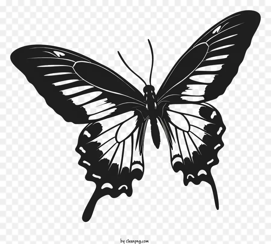 La Silueta De La Mariposa，Mariposa Negra PNG