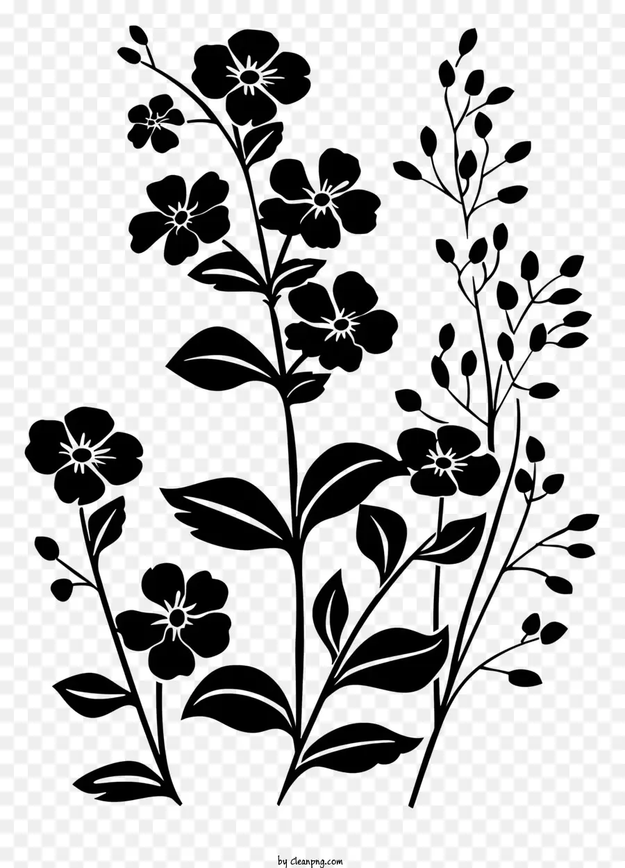 La Silueta De La Flor，Black Background PNG