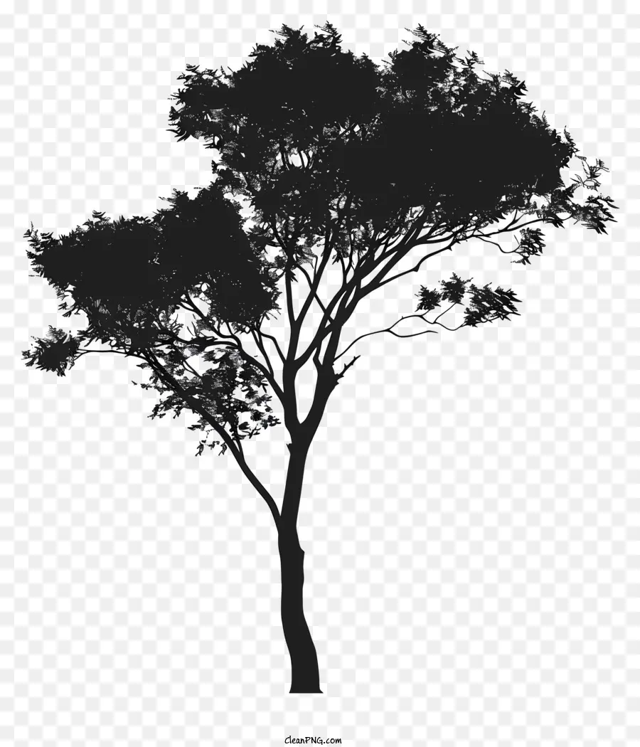 Silueta De Arbol，Naturaleza PNG