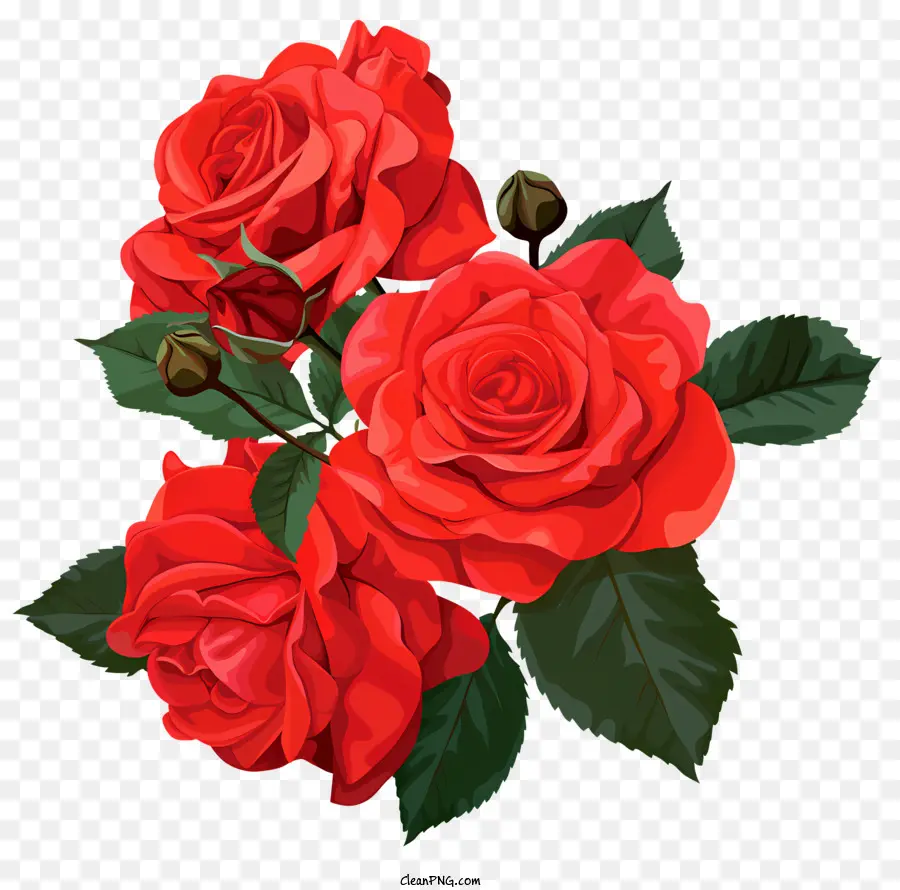 Las Rosas，Rosas Rojas PNG