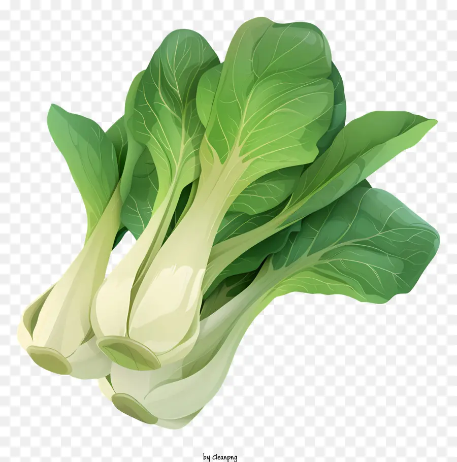 Bok Choy，Col PNG