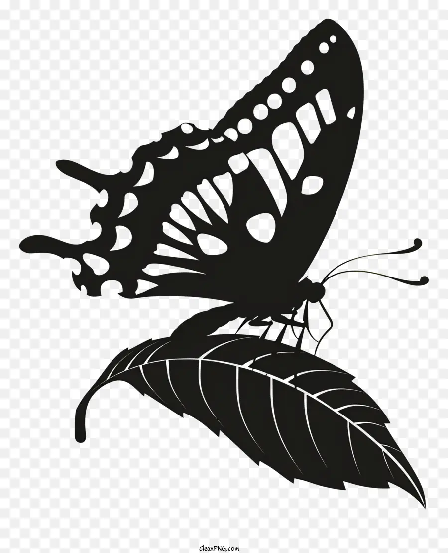 La Silueta De La Mariposa，Mariposa PNG