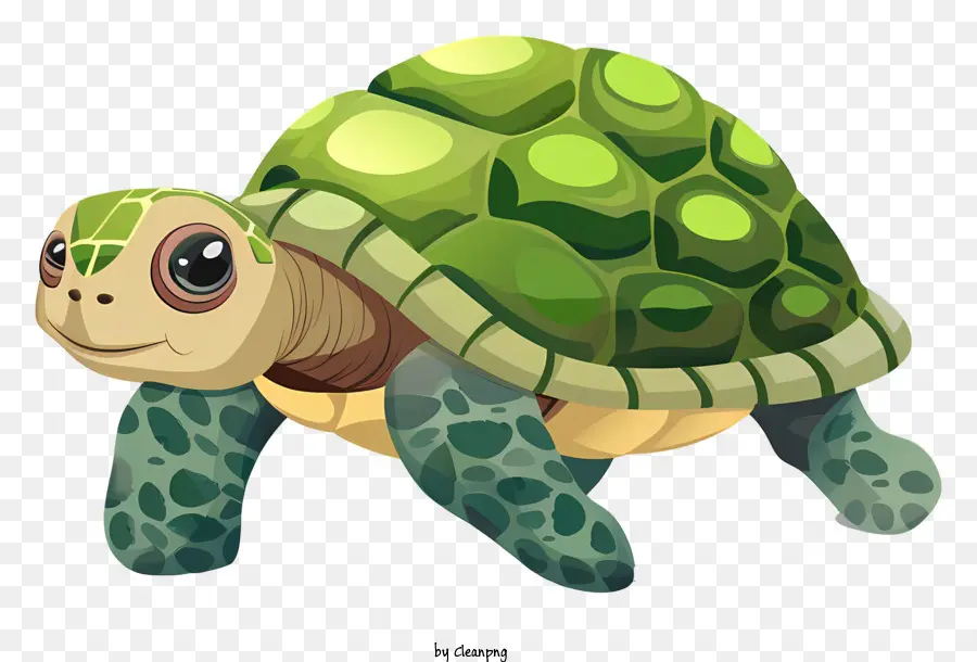 Tortuga De Dibujos Animados，Tortuga PNG