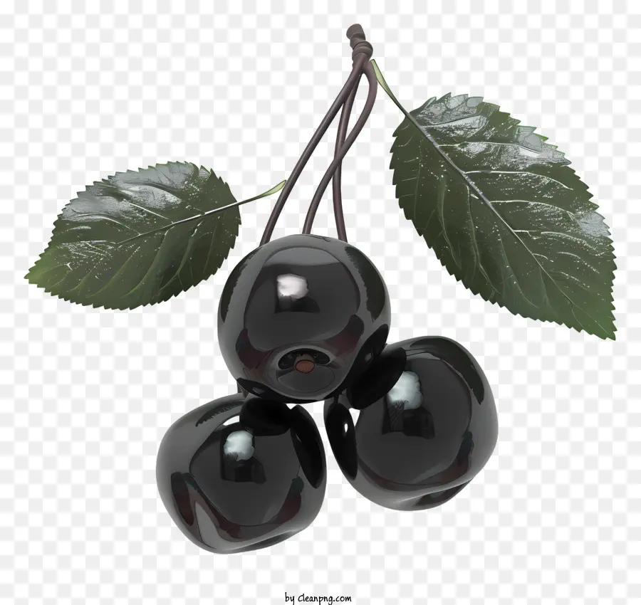 Cerezo Negro，Cerezas Negras PNG