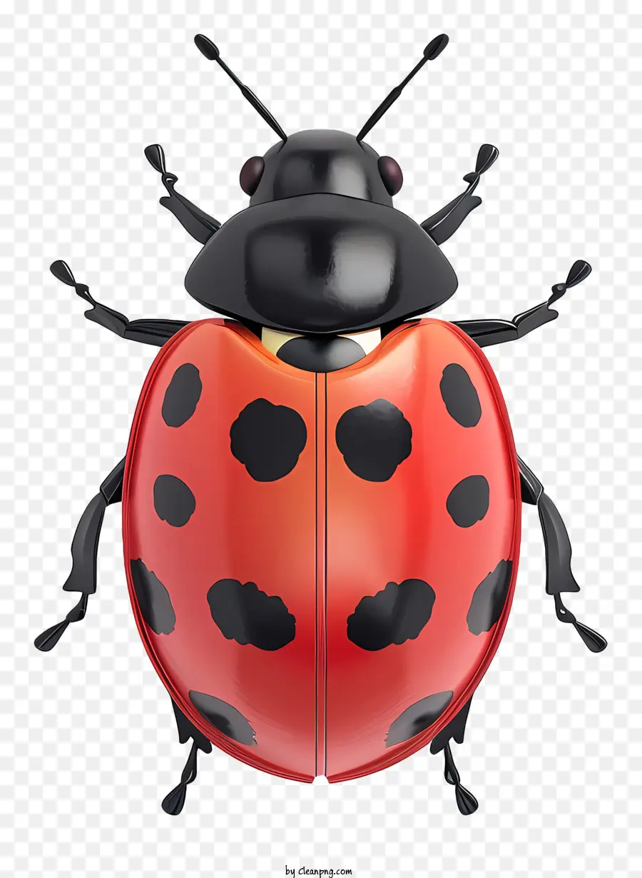 Mariquita，Ladybug PNG