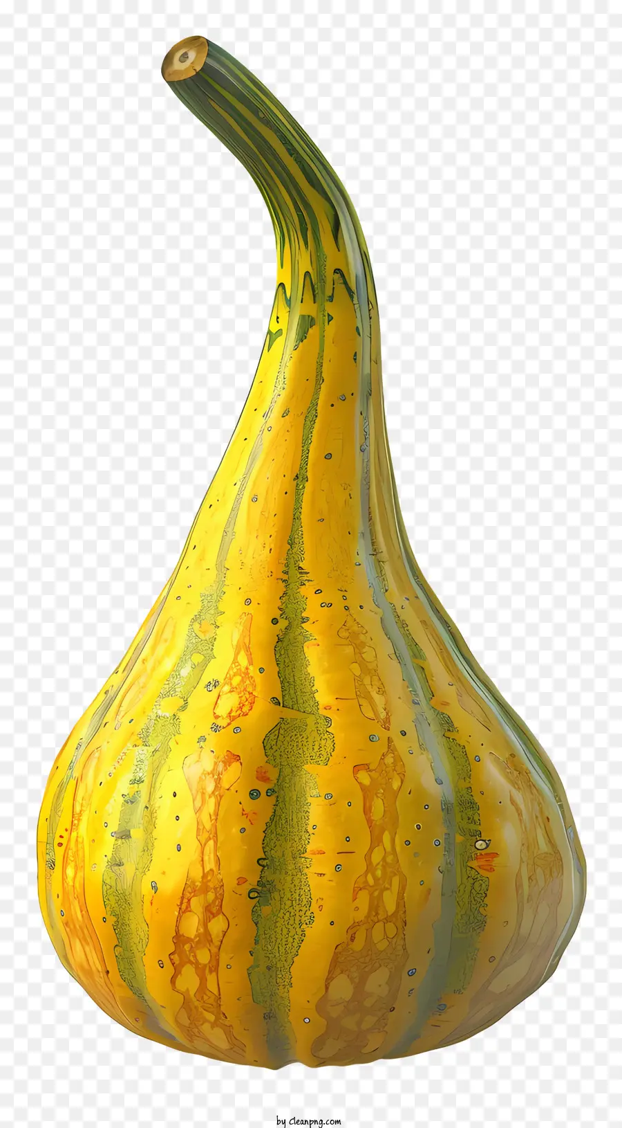 La Calabaza，Calabaza Amarilla PNG