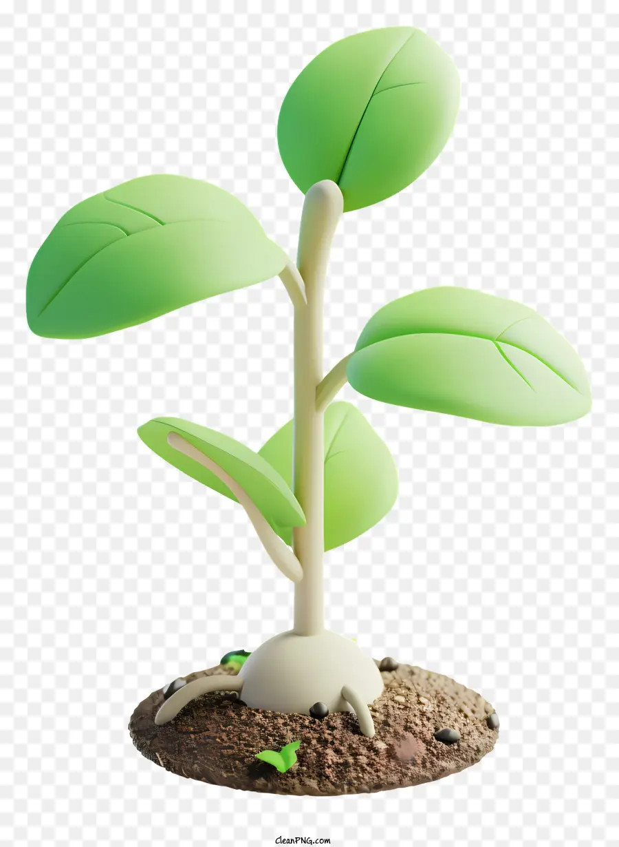 Las Plántulas，Planta Verde PNG