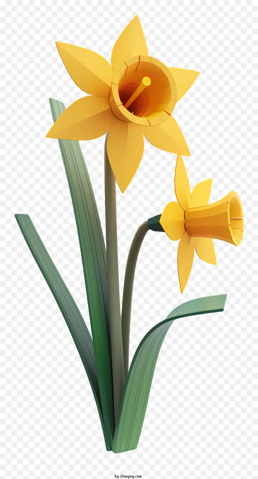 Narciso，Flor Amarilla PNG