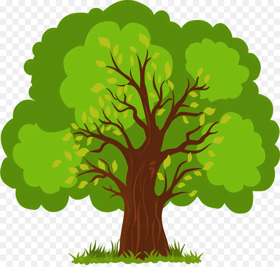 Hoja，Árbol PNG