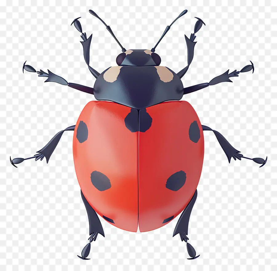 Ladybug，Los Insectos PNG