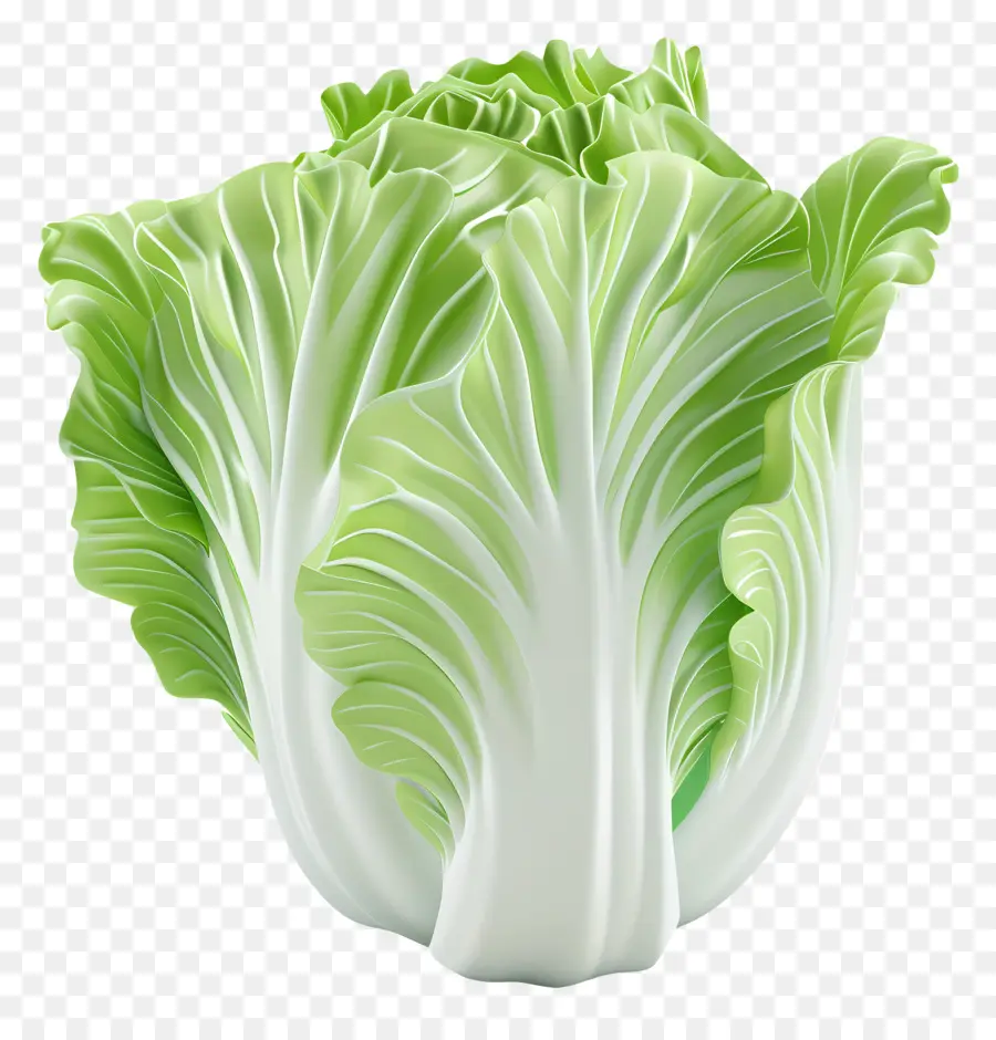 Repollo Chino，Lechuga PNG