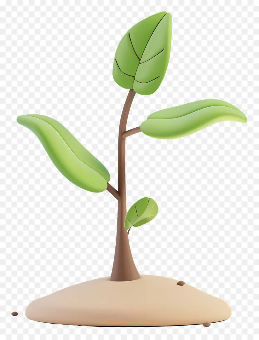 Las Plántulas，Planta PNG