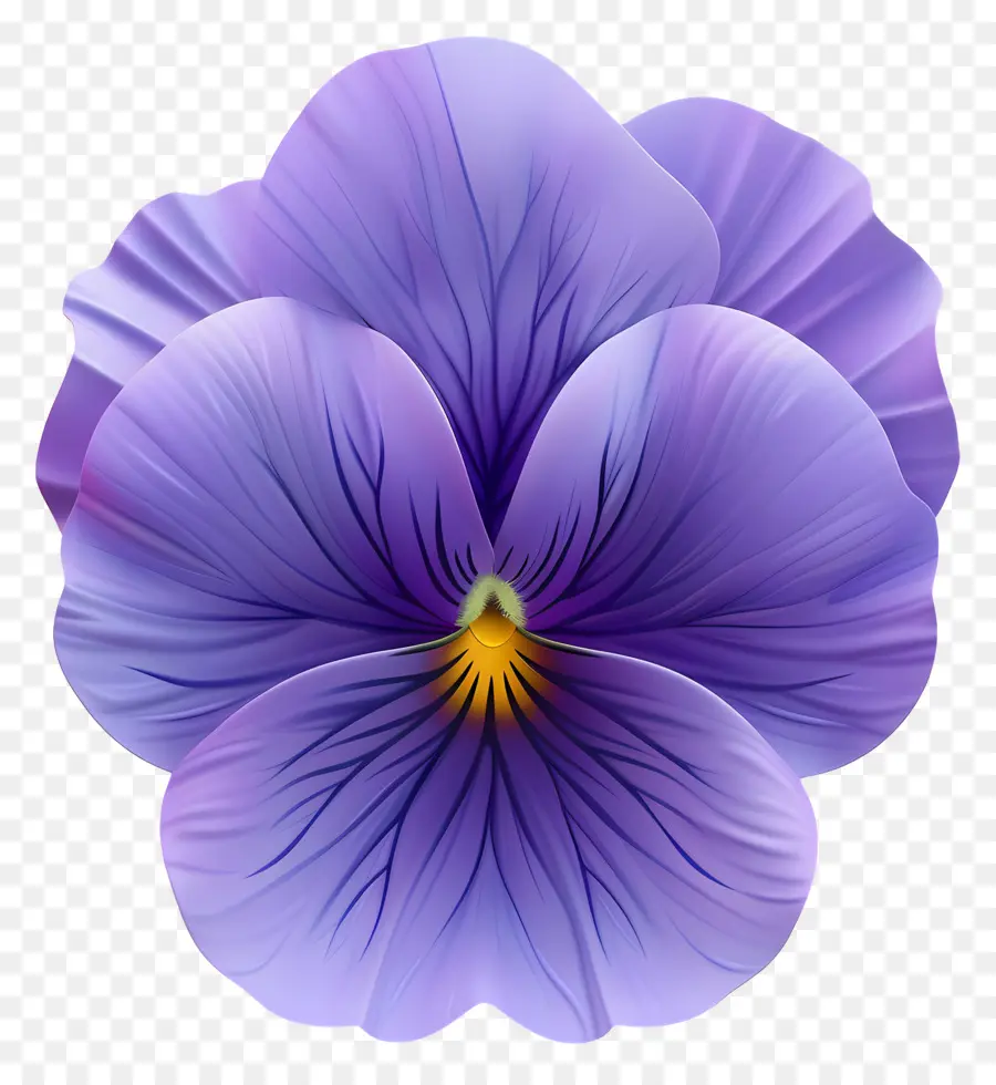 Pansy Flor，Flor De Pánsica Púrpura PNG