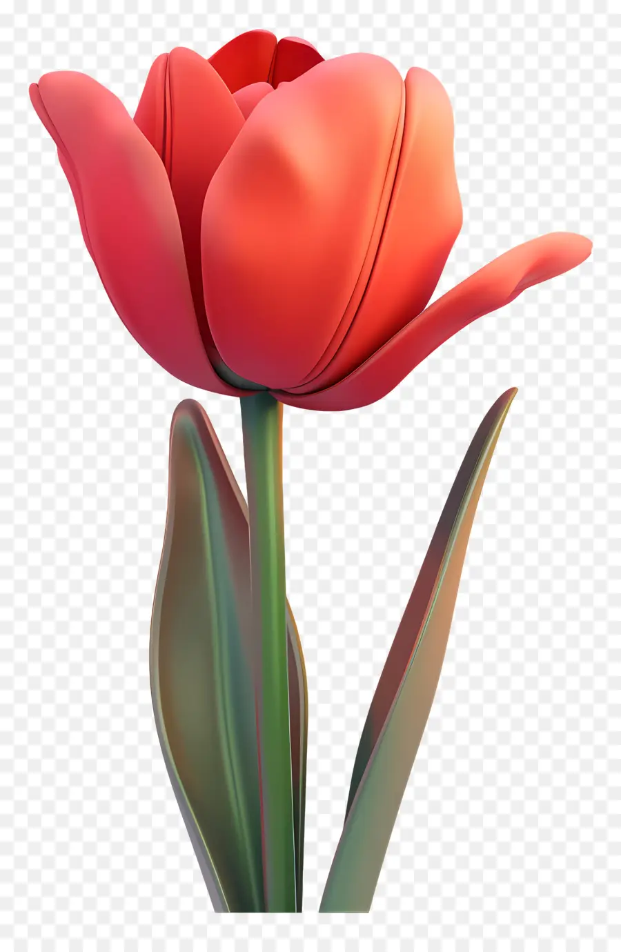 Tulipán，Tulipanes Rojos PNG