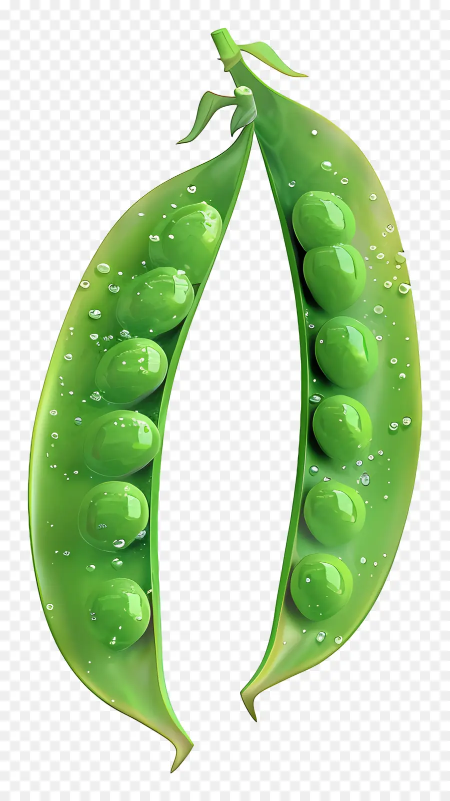 Guisantes，Guisantes Verdes PNG