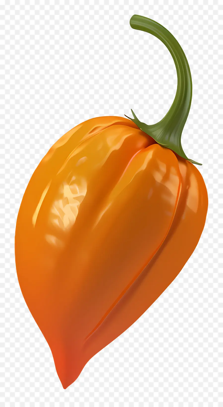 Chile Habanero，Chile Naranja PNG